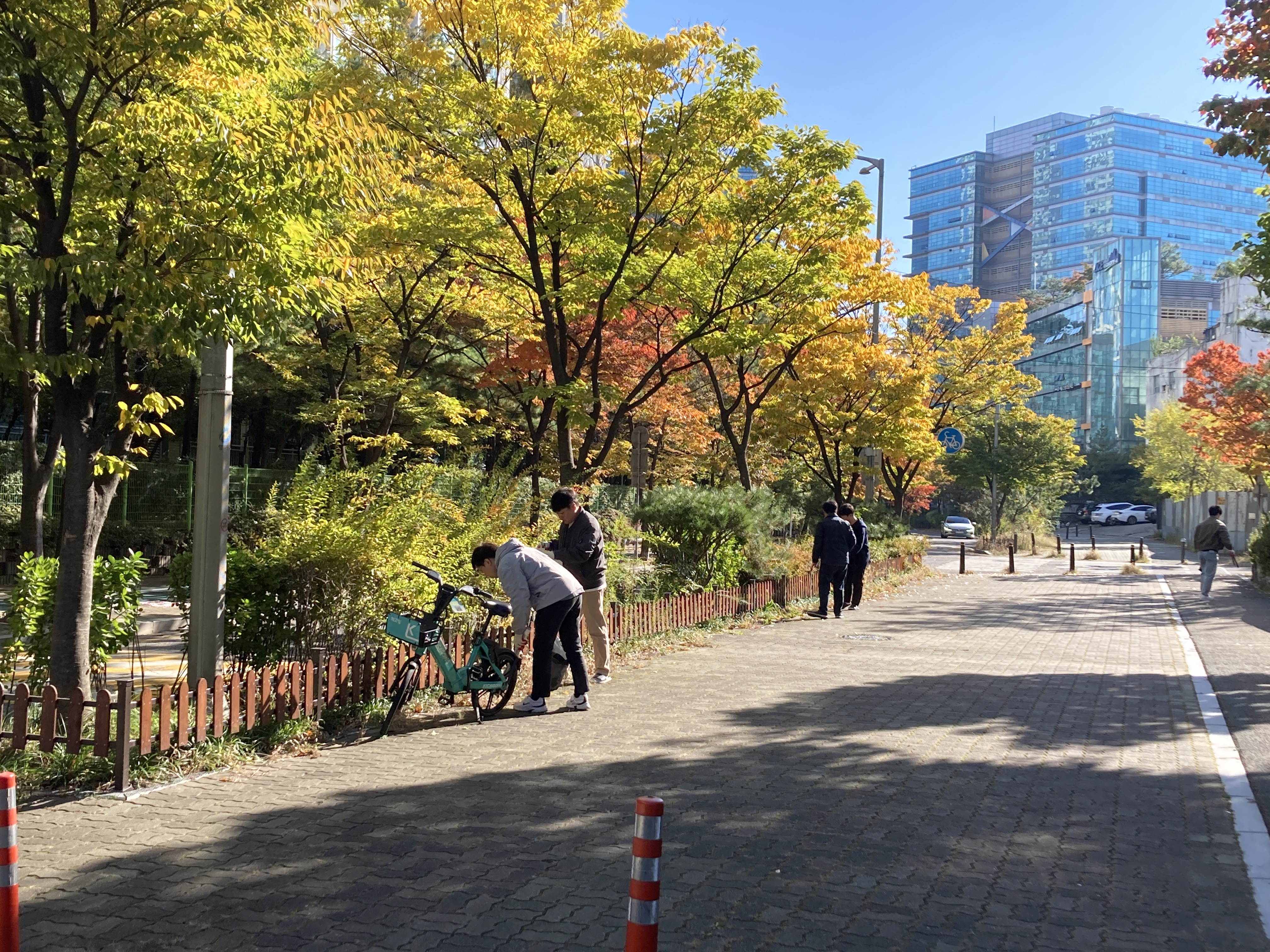 투명한 지배구조